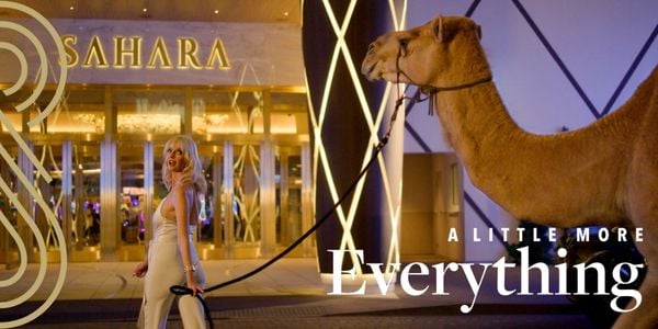 Email Header - 600 x 300 (1)